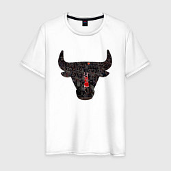 Мужская футболка Bulls - Jordan