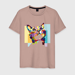 Мужская футболка Разноцветный котэ