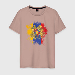 Мужская футболка Colors of Armenia