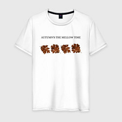 Мужская футболка Осень