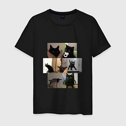 Мужская футболка Сборник мемов с котами