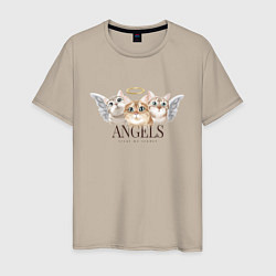 Мужская футболка Кошки ангелы