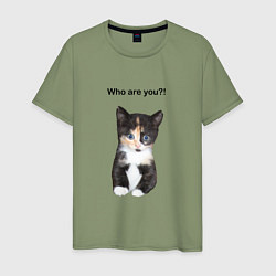 Мужская футболка Кот с вопросом