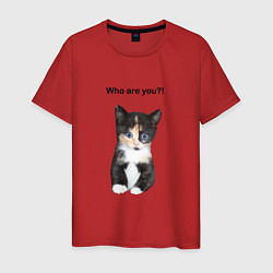 Мужская футболка Кот с вопросом