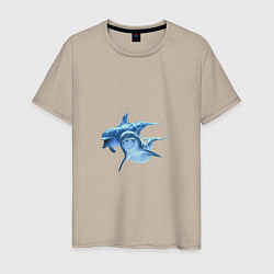 Мужская футболка Два маленьких дельфина