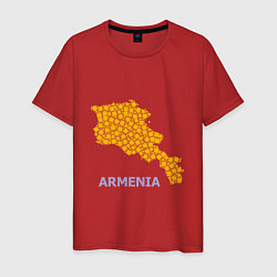 Мужская футболка Golden Armenia