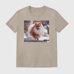 Мужская футболка Шпиц маленький