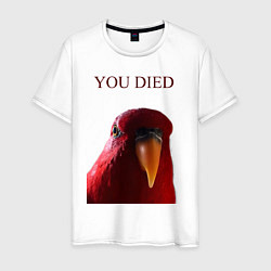 Мужская футболка Красный попугай