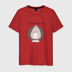 Мужская футболка Прикольный нашкодивший кот