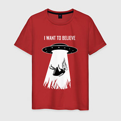 Мужская футболка I Want To Believe, UFO