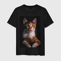 Мужская футболка Умный взгляд кота