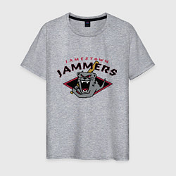 Футболка хлопковая мужская Jamestown Jammers - baseball team, цвет: меланж