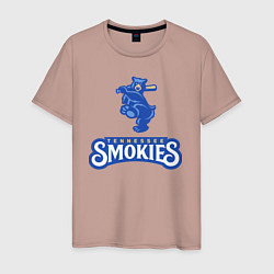 Мужская футболка Tennessee smokies - baseball team
