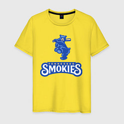 Мужская футболка Tennessee smokies - baseball team