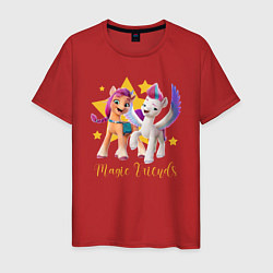 Мужская футболка Magic Pony Friends