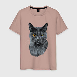 Мужская футболка Русская голубая кошка