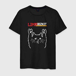 Мужская футболка Limp Bizkit рок кот