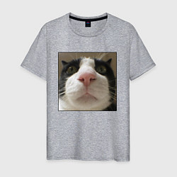 Мужская футболка Задумчивый кот