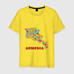 Мужская футболка Armenian Color