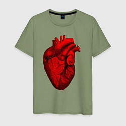 Мужская футболка Сердце анатомическое