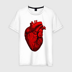 Мужская футболка Сердце анатомическое