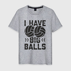 Мужская футболка Big Balls