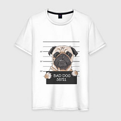 Мужская футболка Мопс bad dog