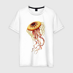 Мужская футболка Морская медуза