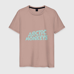 Мужская футболка Надпись Arctic Monkeys