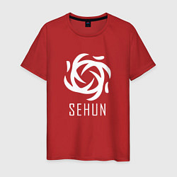 Мужская футболка Exo SEHUN