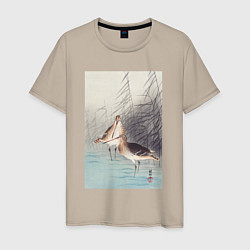 Мужская футболка Two Bar-tailed Godwits