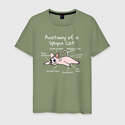 Мужская футболка Анатомия кошки сфинкса