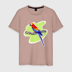 Мужская футболка Попугаи Ара Птицы