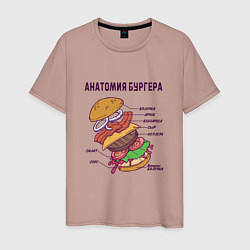 Мужская футболка Анатомия схема Бургера Burger Scheme Anatomy