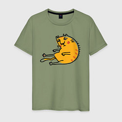 Мужская футболка Уставший рыжий кот