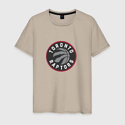 Мужская футболка Торонто Рэпторс NBA