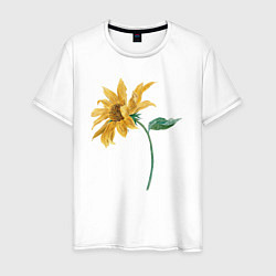 Мужская футболка Branch With a Sunflower Подсолнух