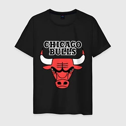 Мужская футболка Chicago Bulls