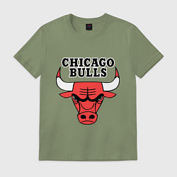 Мужская футболка Chicago Bulls