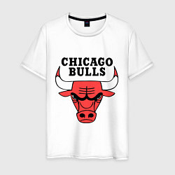Футболка хлопковая мужская Chicago Bulls цвета белый — фото 1