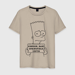 Мужская футболка Simpson, Bart, Springfield, 159736