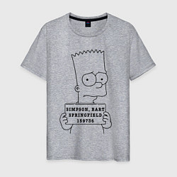 Мужская футболка Simpson, Bart, Springfield, 159736