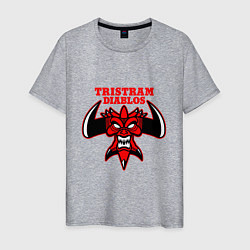 Мужская футболка Tristram Diablos