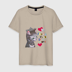 Мужская футболка I love cats and you