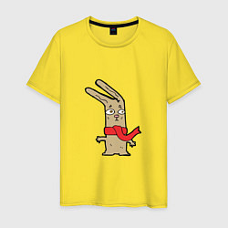 Мужская футболка Кролик в шарфике