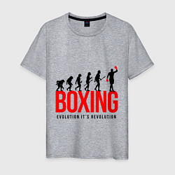 Мужская футболка Boxing evolution