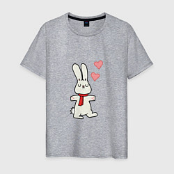 Футболка хлопковая мужская Кролик с сердечками, цвет: меланж