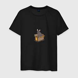 Мужская футболка Кошка в коробке
