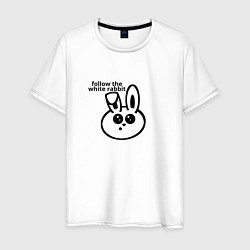 Мужская футболка Следуй за круглым белым кроликом