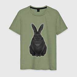 Мужская футболка Черный водяной кролик - 2023